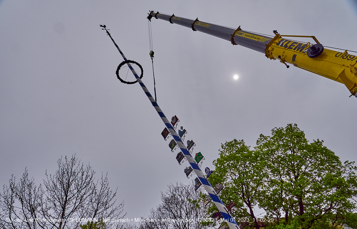 01.05.2023 - Maibaumaufstellung in Berg am Laim